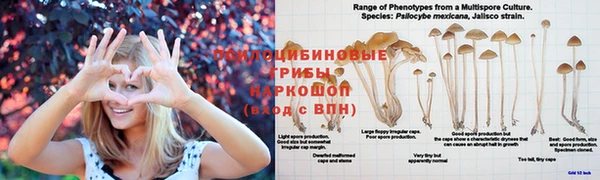 каннабис Касимов