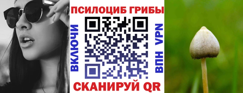 Купить закладки  Шимановск  Галлюциногенные грибы Cubensis 
