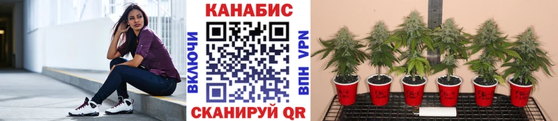 Купить  Шимановск  МАРИХУАНА тримм 